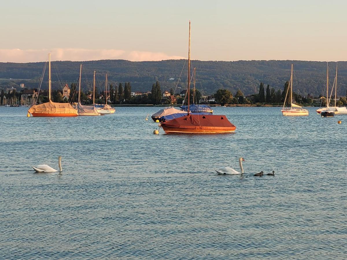 Charmante Waldrandidylle Otel Kreuzlingen Dış mekan fotoğraf